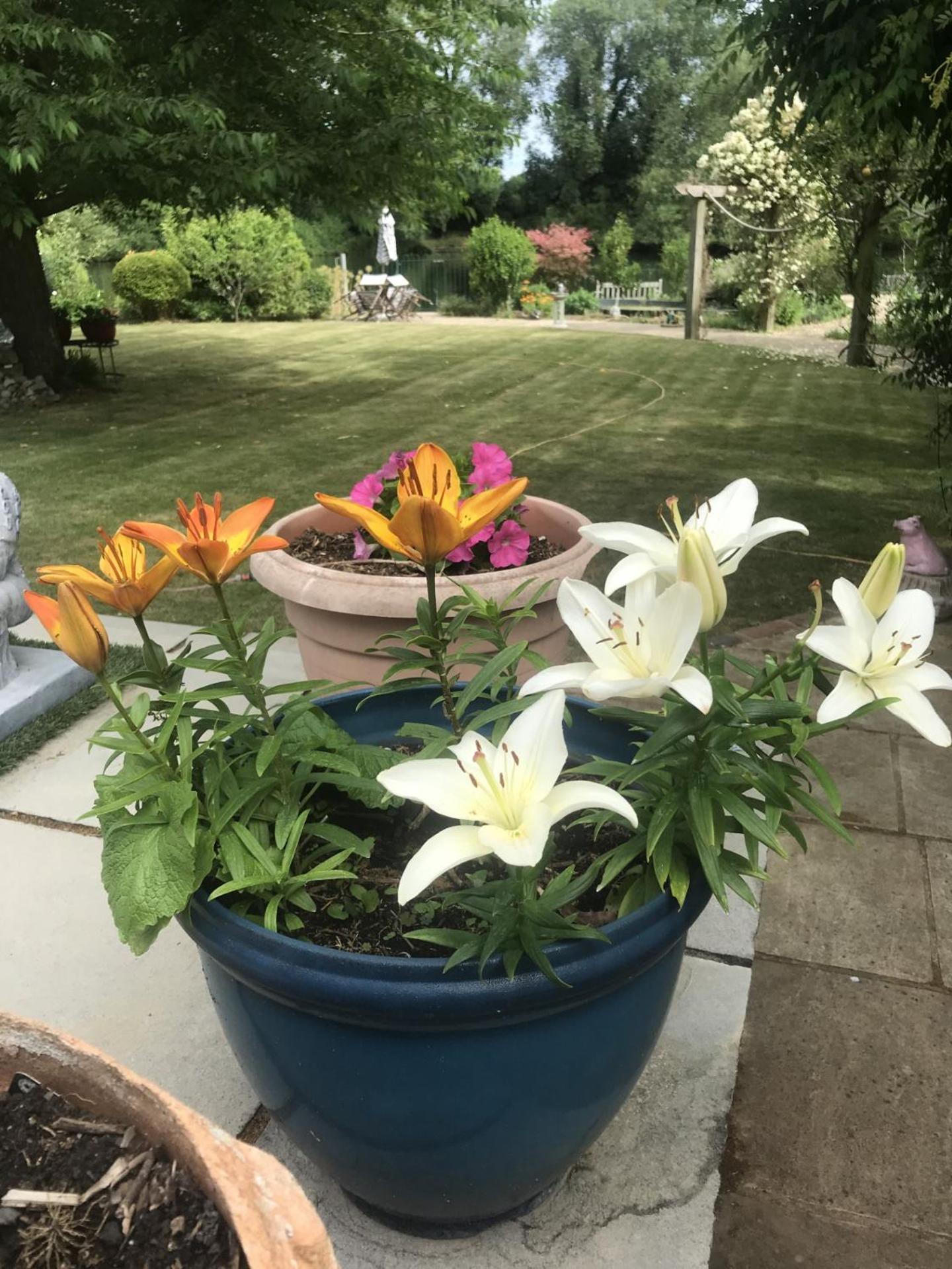 Cozy Double Bedroom In Stunning Bungalow On River Thames - Near Thorpe Park/Royal Holloway University/20Mins From Heathrow Staines-upon-Thames ภายนอก รูปภาพ
